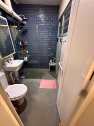 Blk 239 Hougang Street 22 (Hougang), HDB 4 Rooms #543950691
